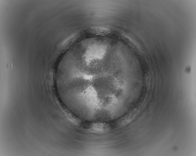 X0000094960757200711291440