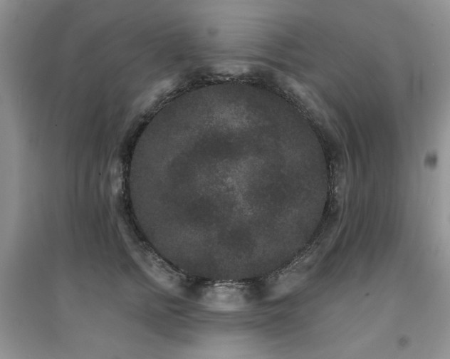 X0000094960758200711291440