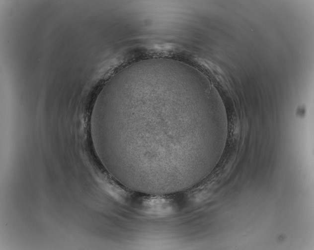 X0000094960759200711291440
