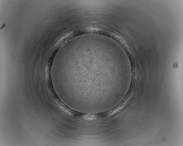 X0000094960762200711291440