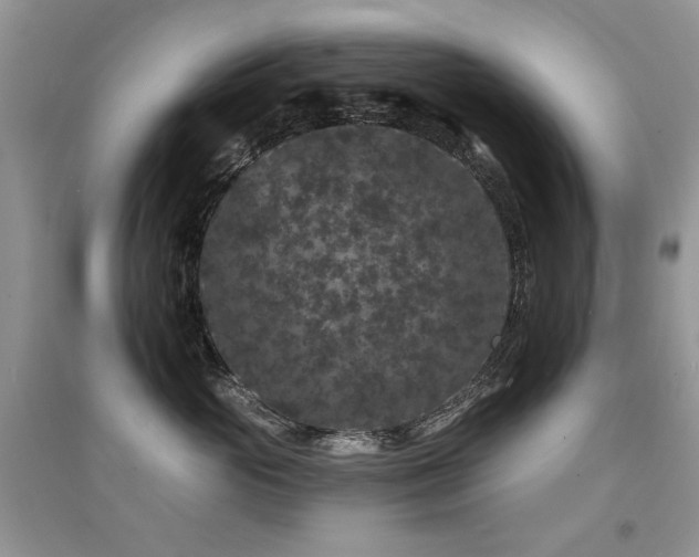 X0000094960765200711291440