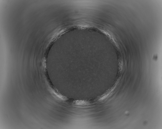 X0000094960766200711291441