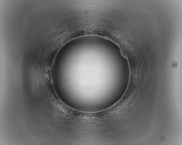 X0000094960770200711291440