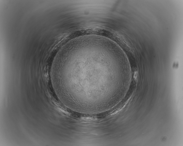 X0000094960771200711291440