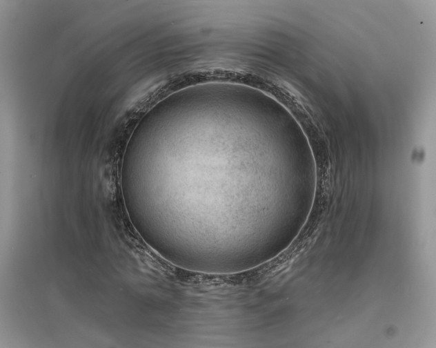 X0000094960774200711291440