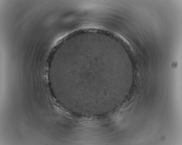 X0000094960775200711291440