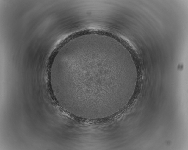 X0000094960776200711291440