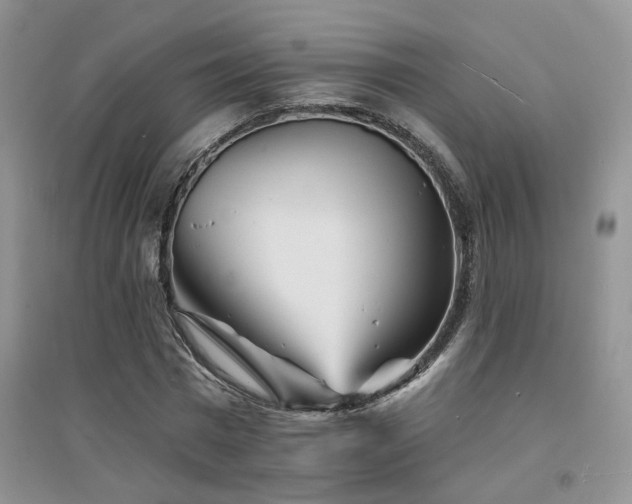 X0000094960777200711291440