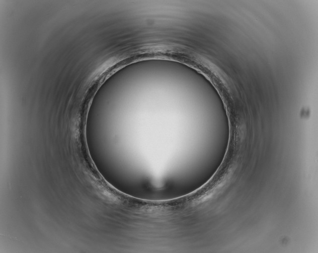 X0000094960778200711291440