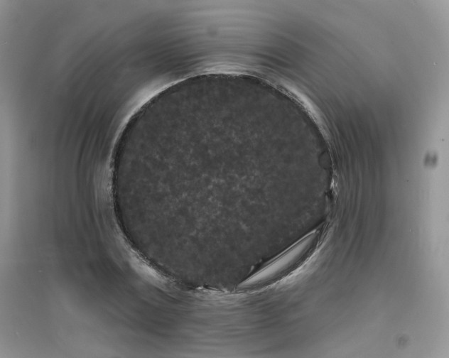 X0000094960779200711291440