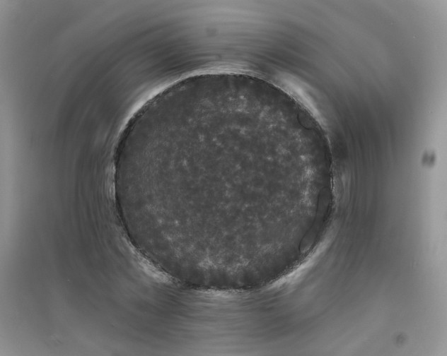 X0000094960781200711291440