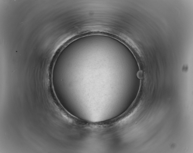 X0000094960782200711291440