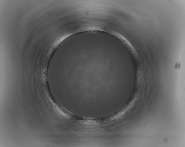 X0000094960785200711291440