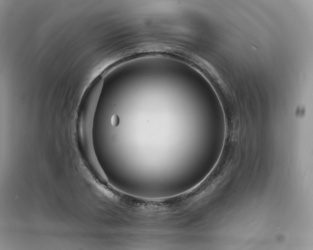 X0000094960786200711291440
