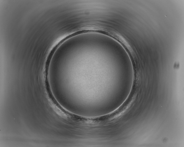 X0000094960787200711291440