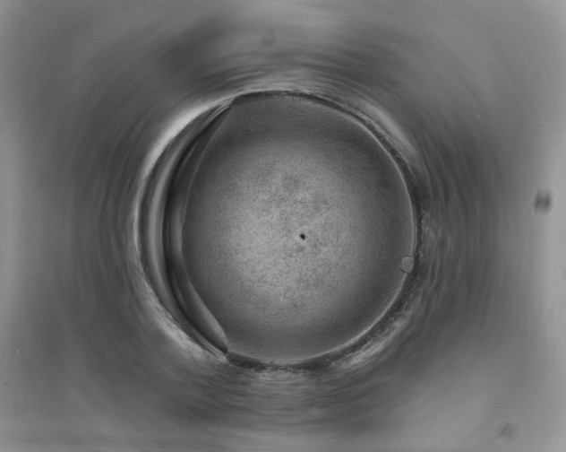 X0000094960788200711291440