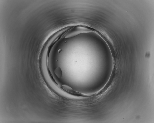 X0000094960789200711291440