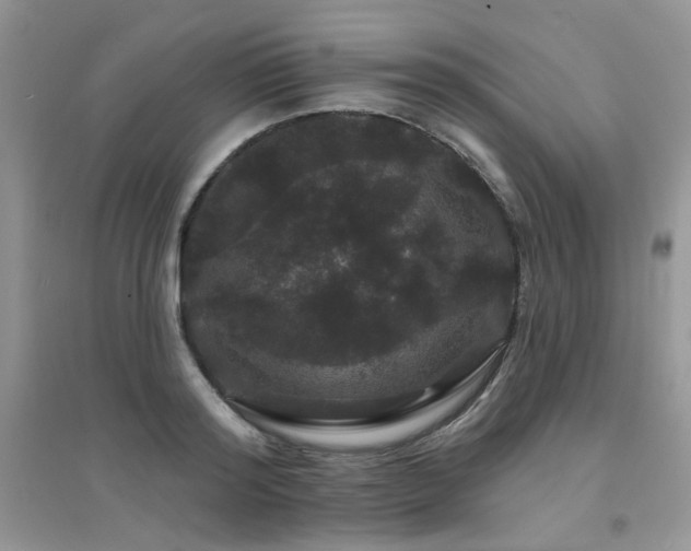 X0000094960796200711291439