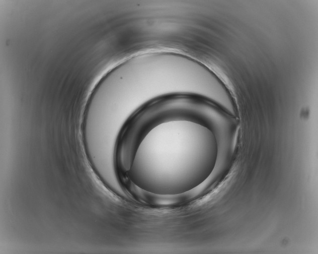 X0000094960797200711291439