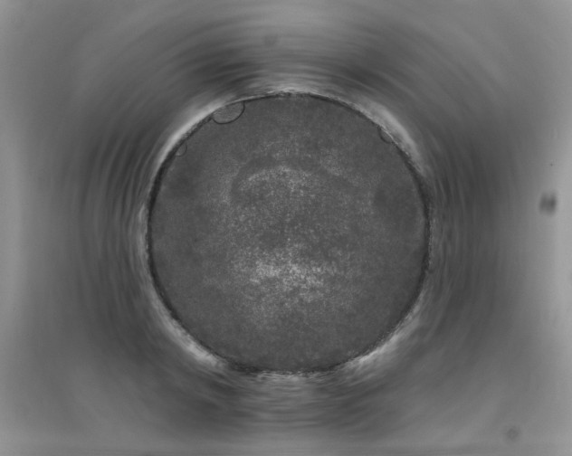 X0000094960798200711291439
