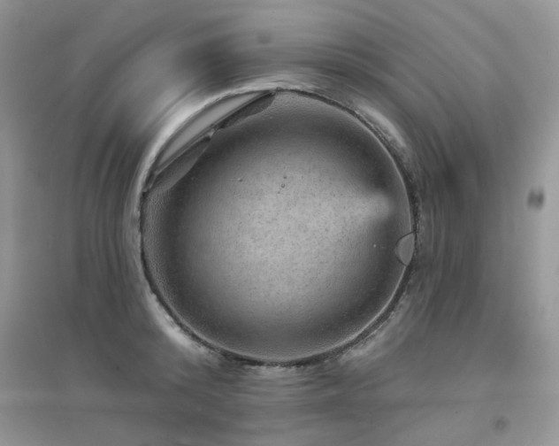 X0000094960800200711291439
