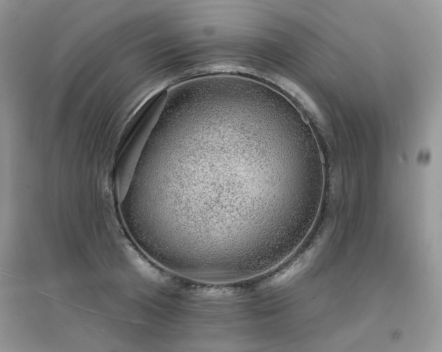 X0000094960801200711291439