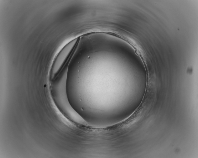 X0000094960803200711291439
