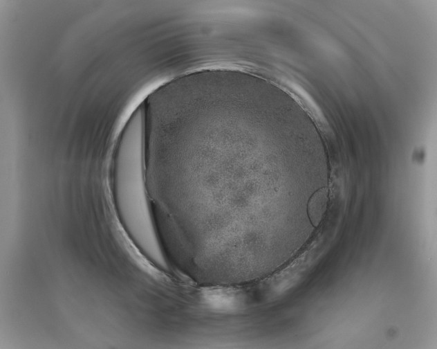 X0000094960804200711291439