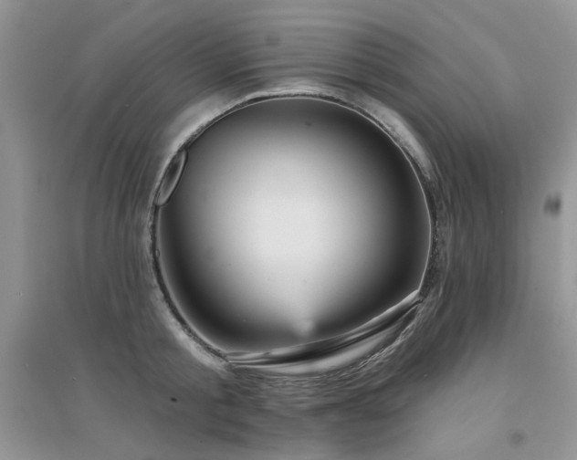 X0000094960805200711291439