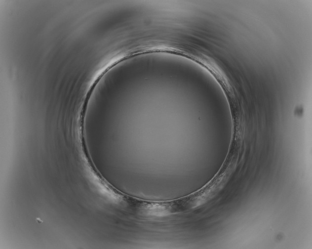 X0000094960806200711291439