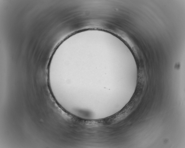 X0000094960807200711291439