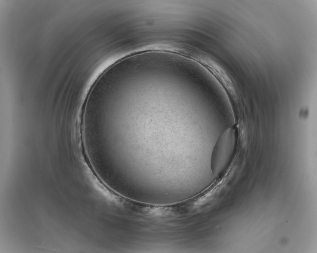 X0000094960808200711291439