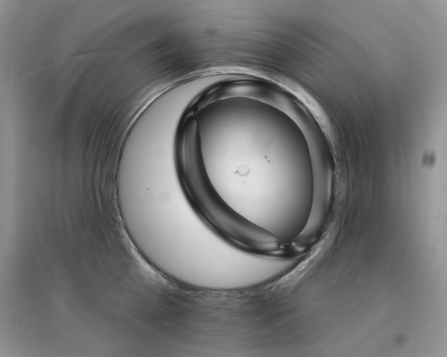 X0000094960809200711291439