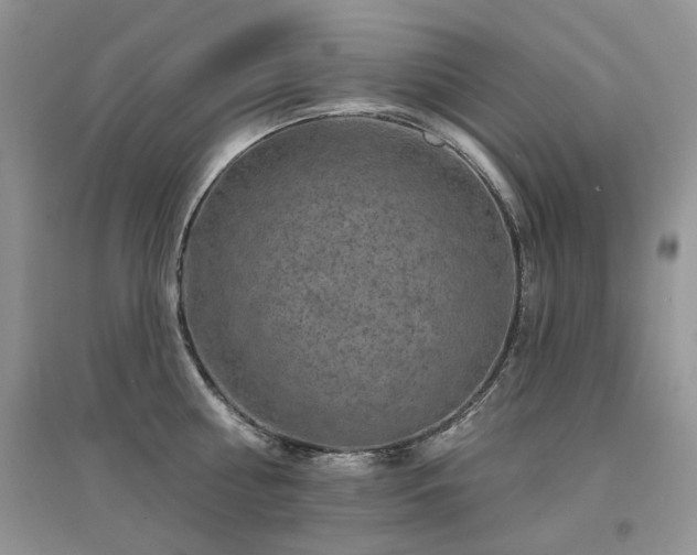 X0000094960810200711291439