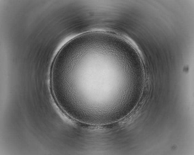 X0000094960811200711291439