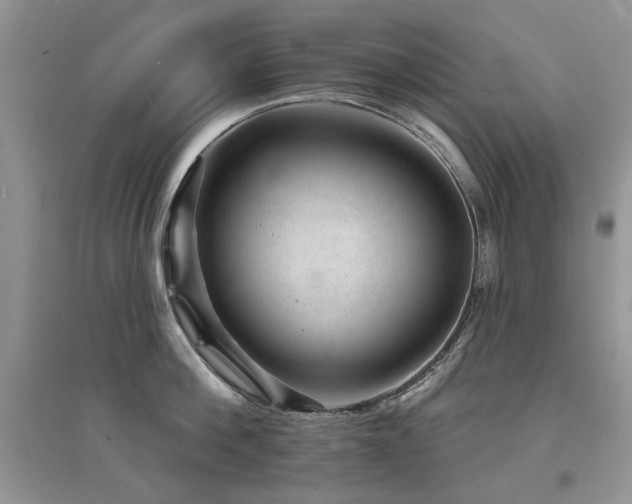 X0000094960812200711291439