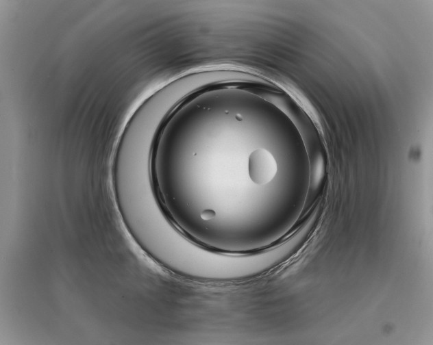 X0000094960813200711291439