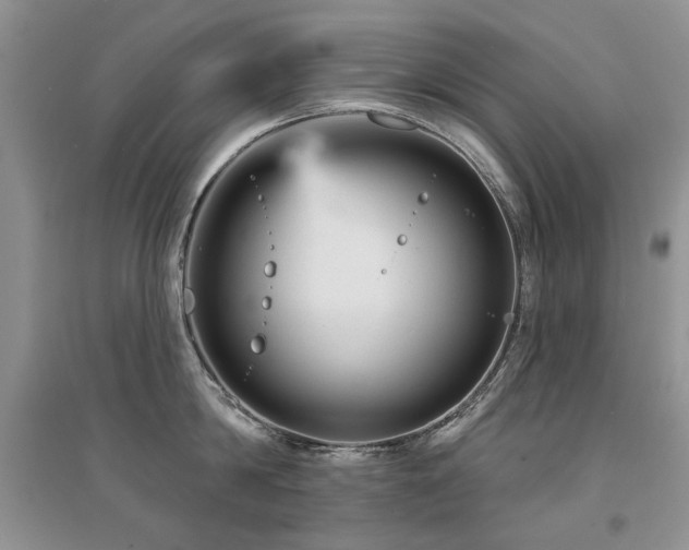 X0000094960814200711291439