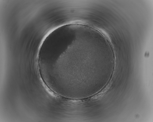 X0000094960816200711291439