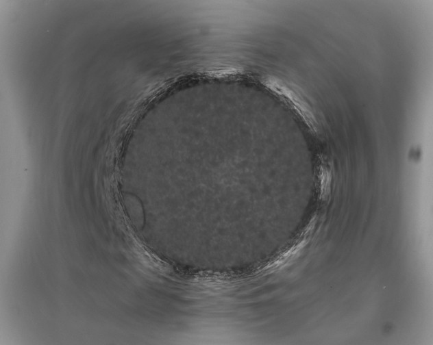 X0000094960817200711291438