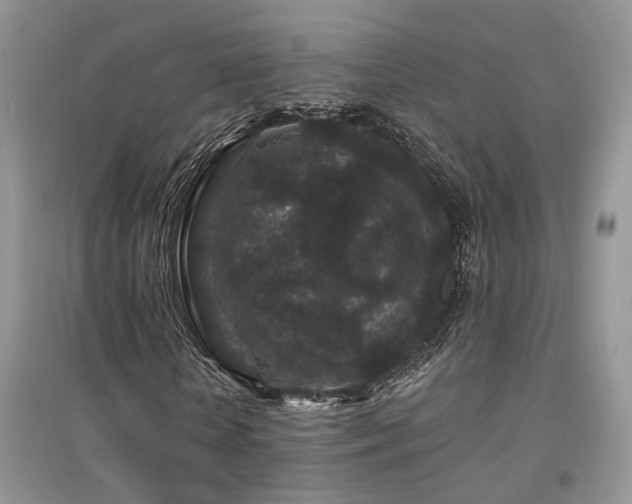 X0000094960818200711291438