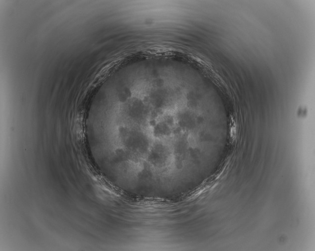 X0000094960819200711291438