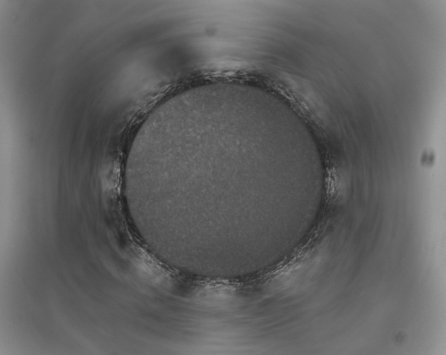 X0000094960820200711291438