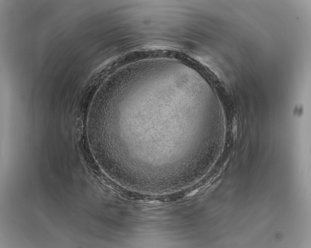X0000094960821200711291438
