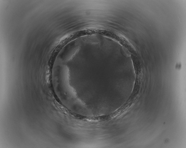 X0000094960822200711291438