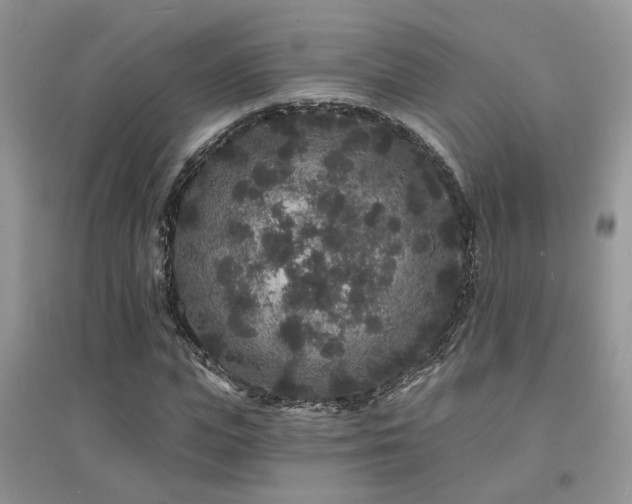 X0000094960823200711291438