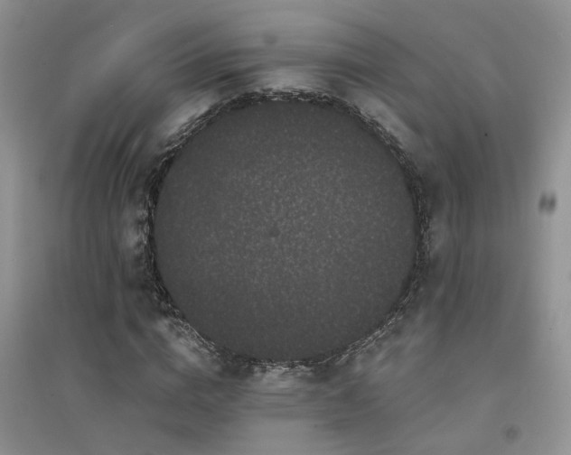 X0000094960824200711291438