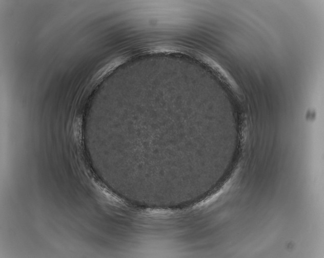 X0000094960825200711291438