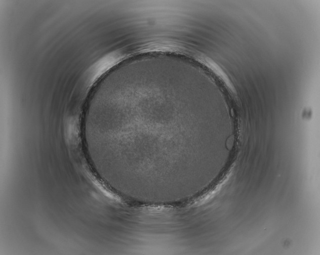 X0000094960826200711291439