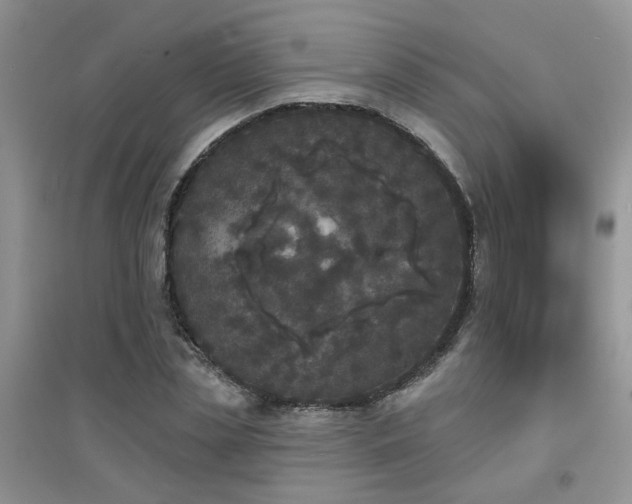 X0000094960829200711291439